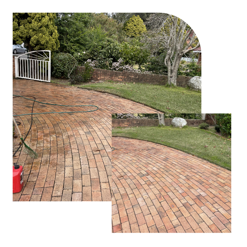 Brick driveway being cleaned with a hose in a garden, showing the process of maintaining a well-kept and attractive outdoor space.